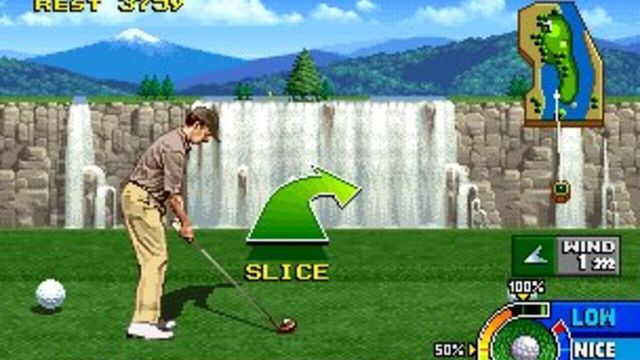 Neo Turf Masters 5