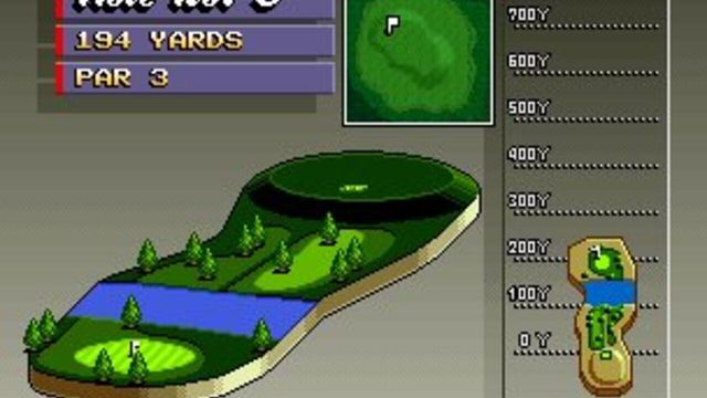 Neo Turf Masters 6