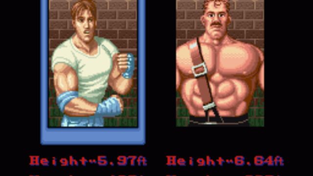 Final Fight 3