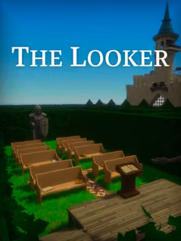 The Looker