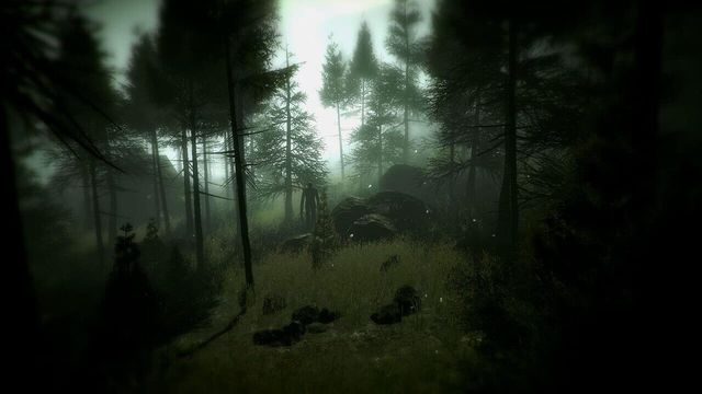 Slender: The Arrival 5