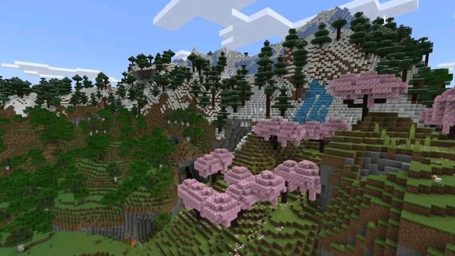 Minecraft: Java & Bedrock Edition 5
