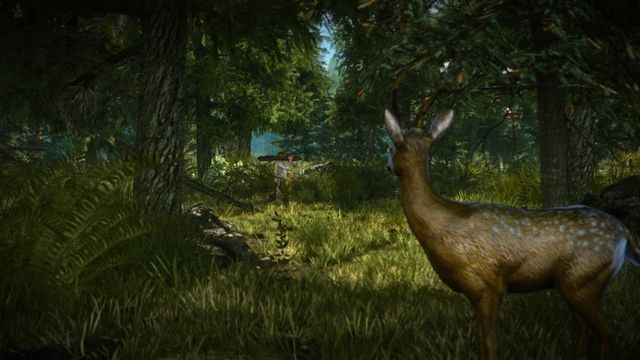 The Witcher 2: Assassins of Kings - Enhanced Edition 2