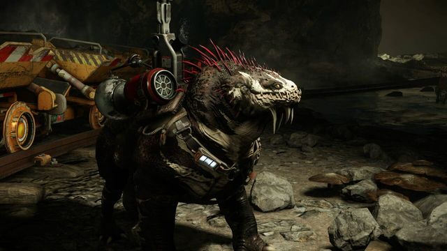 Evolve Stage 2 3