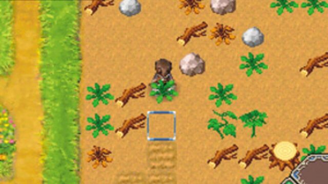 Rune Factory: A Fantasy Harvest Moon 6