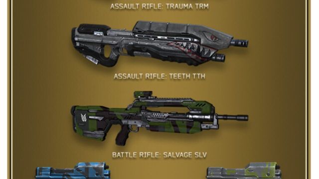 Halo 4: Champions Bundle 4