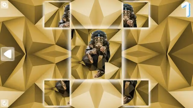 Poly Puzzle: Primates 5