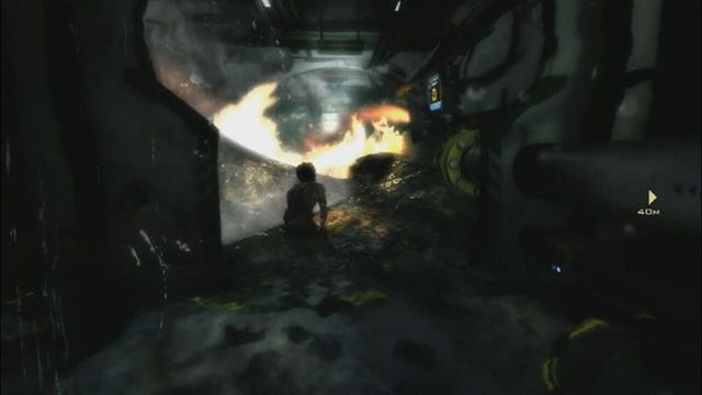 Hydrophobia 5