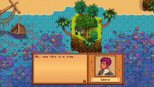 Stardew Valley Expanded 5
