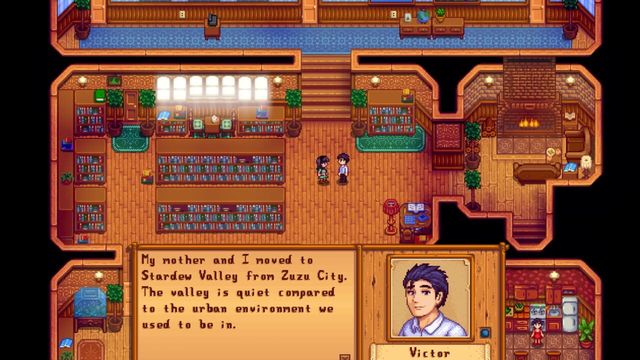 Stardew Valley Expanded 6