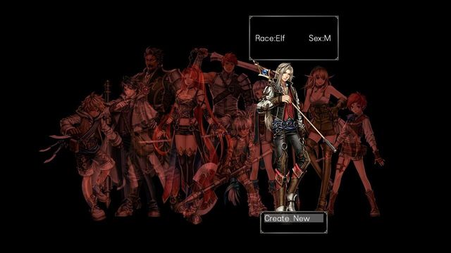 Wizardry: Labyrinth of Lost Souls 5