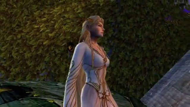 The Lord of the Rings Online: Siege of Mirkwood 2