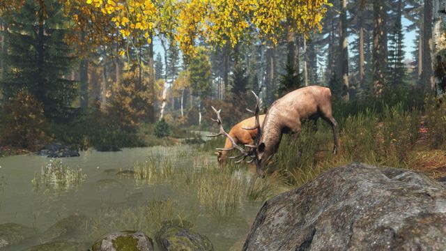 DayZ 6