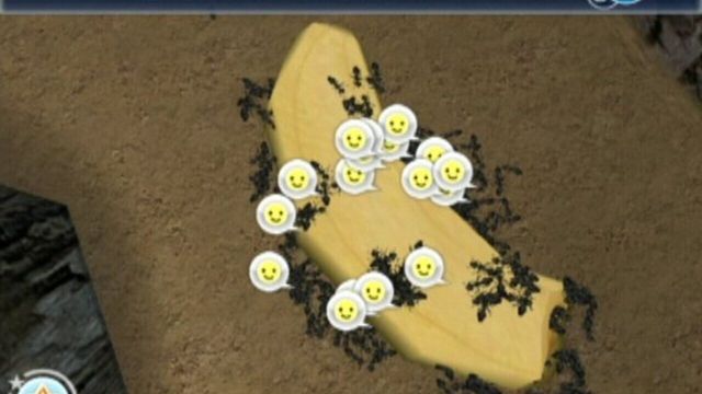 Ant Nation 5