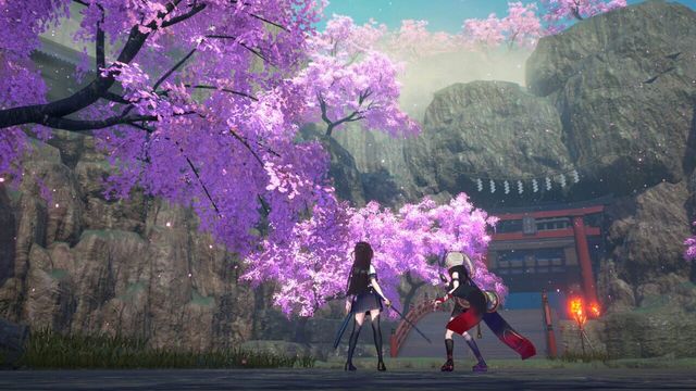 Samurai Maiden 5