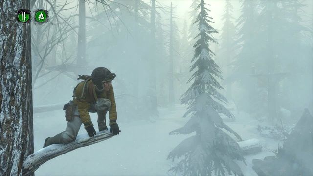 Rise of the Tomb Raider: Endurance Mode 1