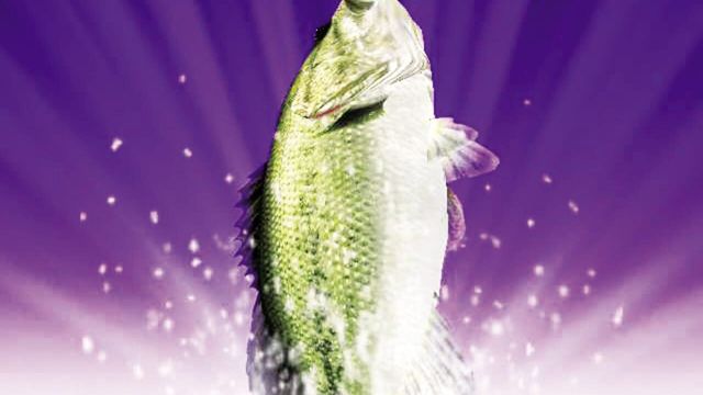 Fishing Master 6