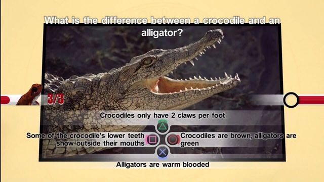 Nat Geo Challenge! Wild Life 4