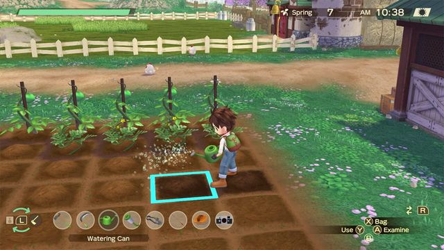 Story of Seasons: A Wonderful Life 2
