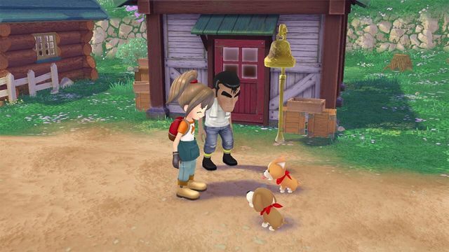 Story of Seasons: A Wonderful Life 3