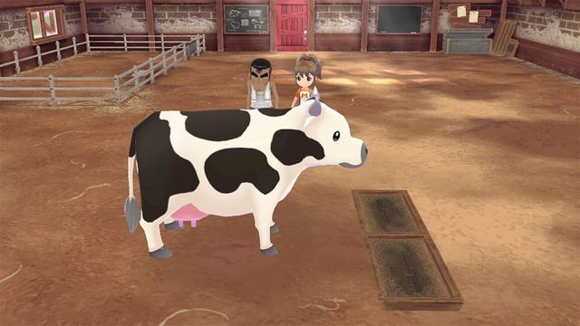 Story of Seasons: A Wonderful Life 4