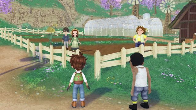 Story of Seasons: A Wonderful Life 5