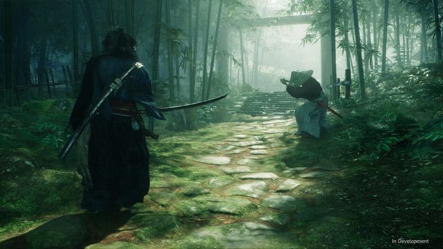 Rise of the Ronin 2
