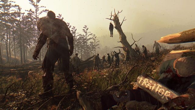 Dying Light: The Following - Enhanced Edition 3