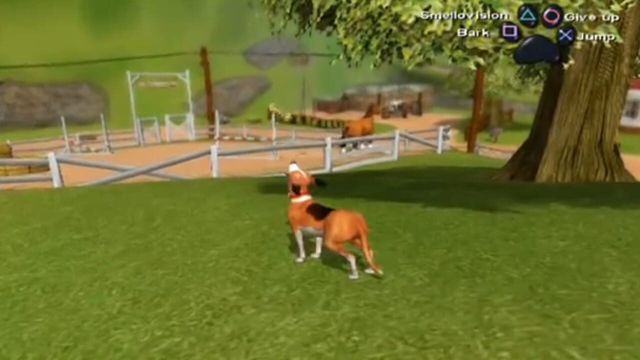 Dog's Life 6