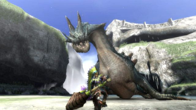 Monster Hunter Tri 4