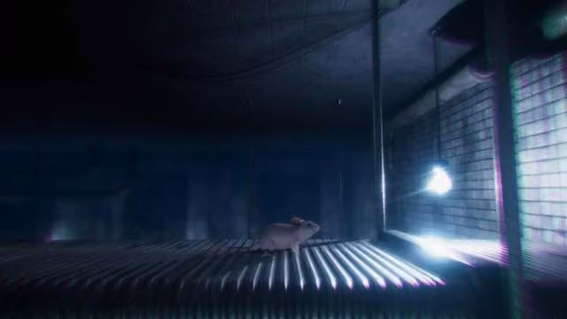 Rat Cage 3