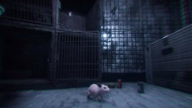 Rat Cage 4