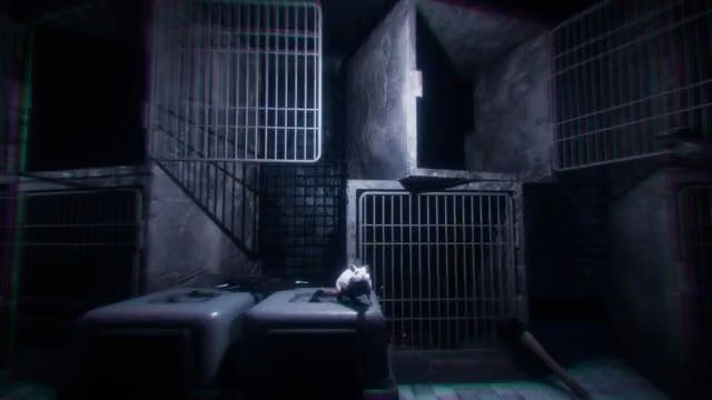 Rat Cage 5