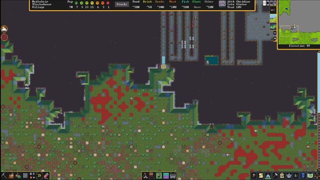 Dwarf Fortress 6