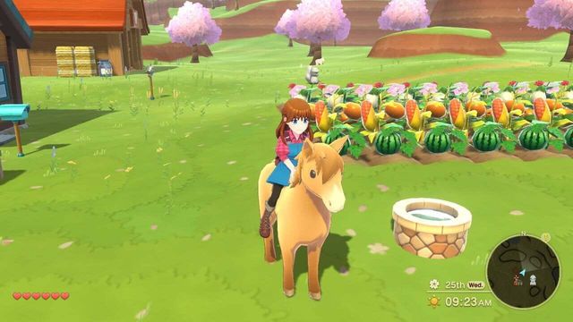 Harvest Moon: The Winds of Anthos 2