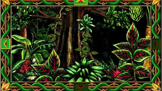 The Amazon Trail 2