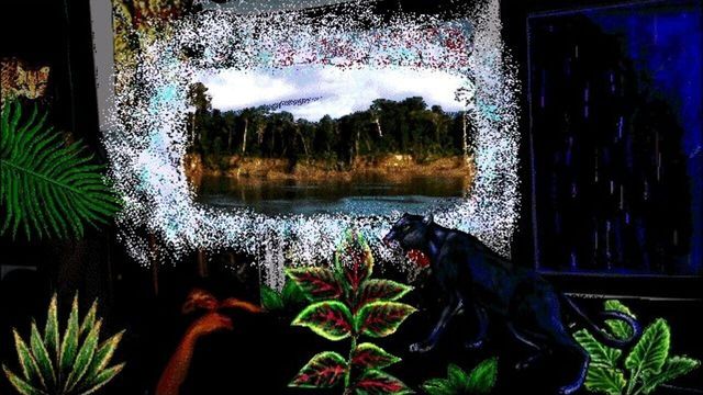 The Amazon Trail 3