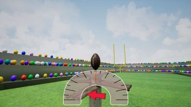 Pigskin Punter! 4