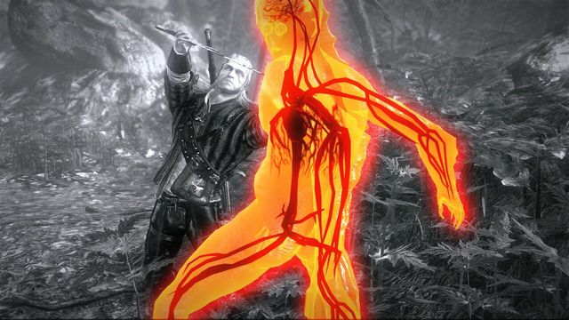 The Witcher 2: Assassins of Kings - Premium Edition 2