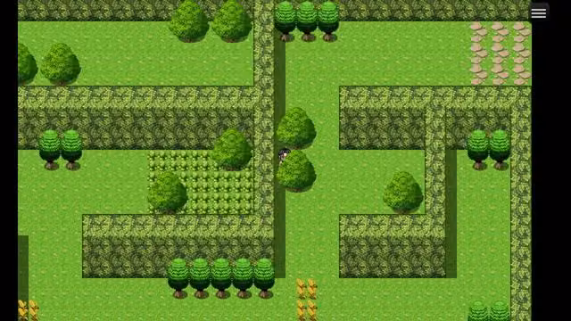 Oak Adventure the Maze 5
