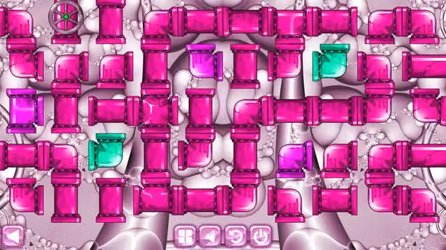 Pip D 5
