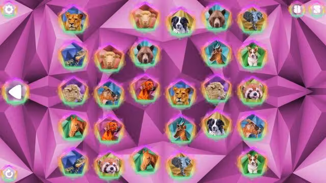 Poly Memory: Animals 2