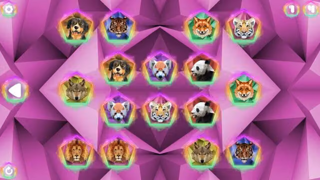 Poly Memory: Animals 5