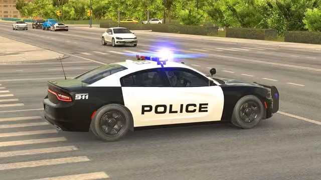 Police Car Simulator 3