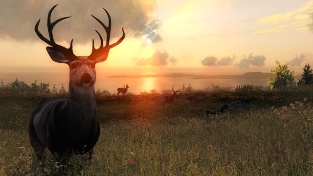 TheHunter Classic 3