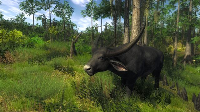 TheHunter Classic 5