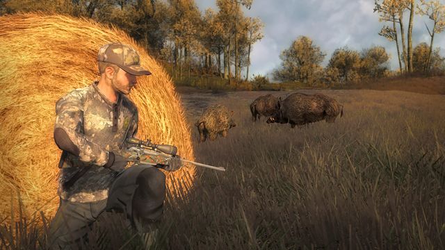 TheHunter Classic 6