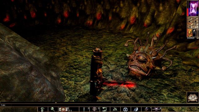 Neverwinter Nights: Enhanced Edition 3