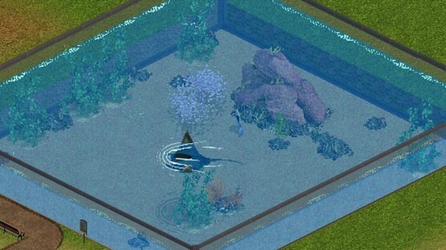 Zoo Tycoon: Marine Mania 6