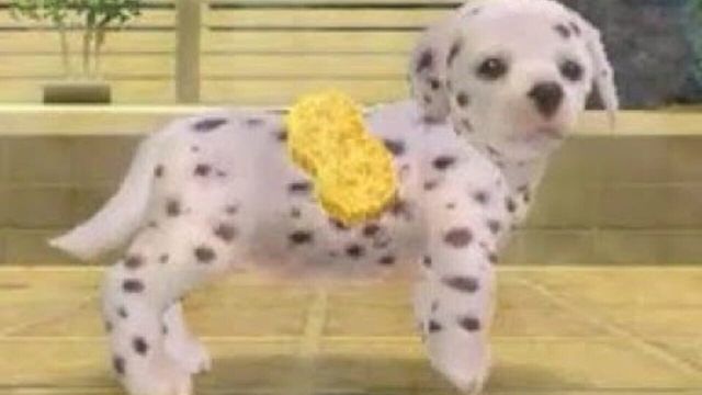 Nintendogs: Dalmatian & Friends 5